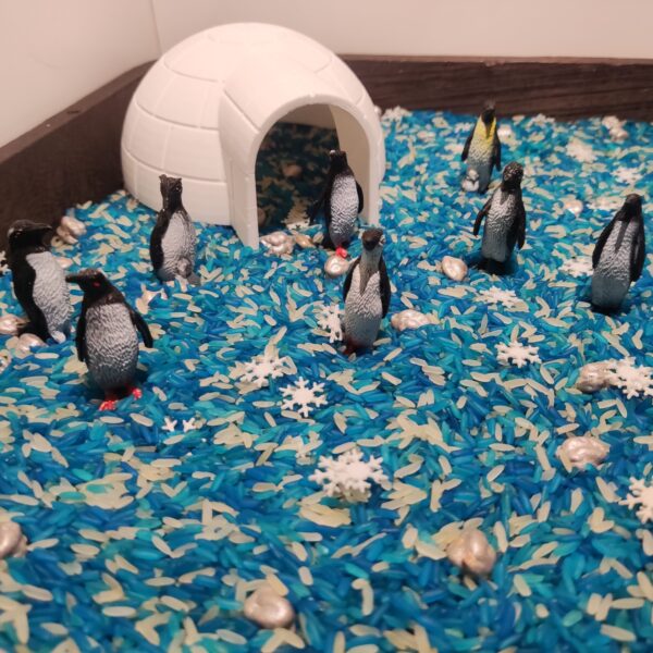 Sensory box winter