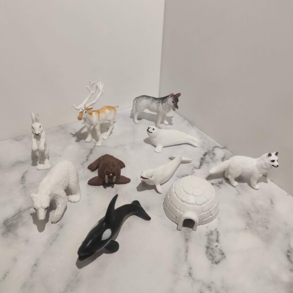 Figuren - Poolgebied