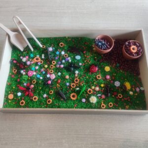 Sensory box Lente