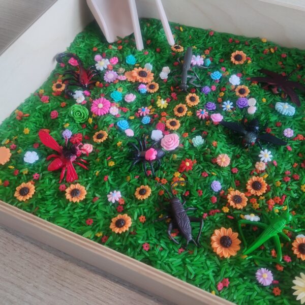 Sensory box Lente