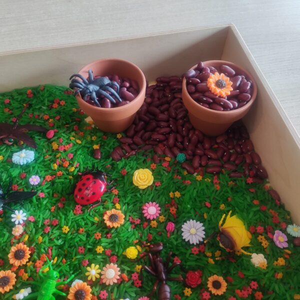 Sensory box Lente